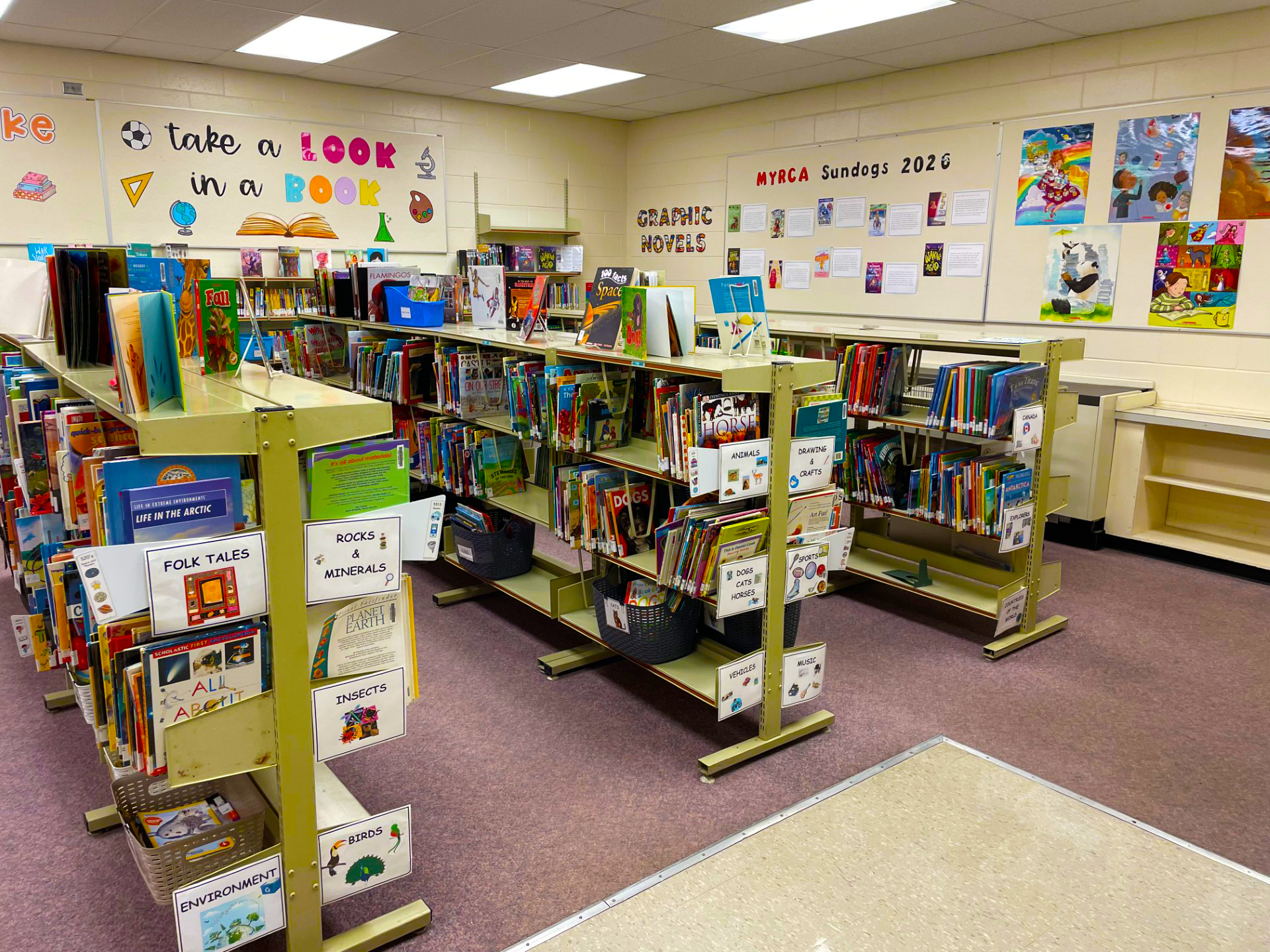 library shelves filled with books